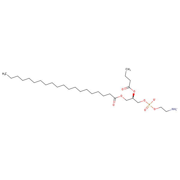Image of MNXM355235