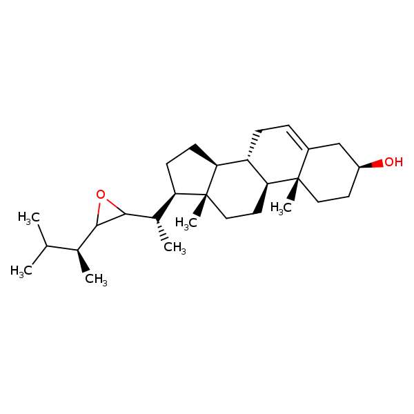 Image of MNXM35554