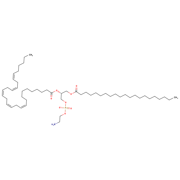 Image of MNXM356234