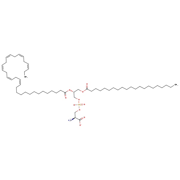 Image of MNXM356946