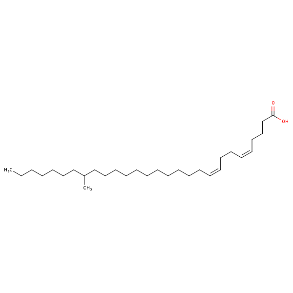 Image of MNXM35803