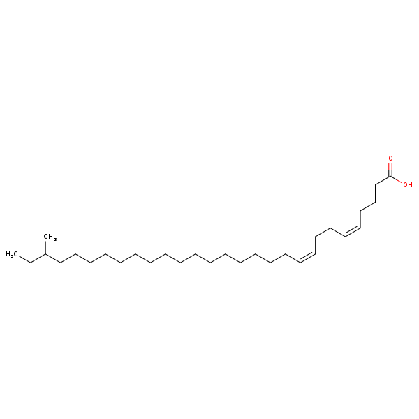 Image of MNXM35804