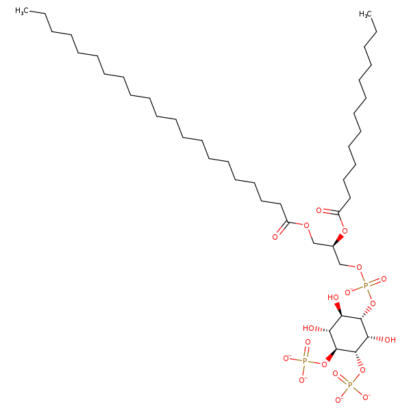 Image of MNXM359751