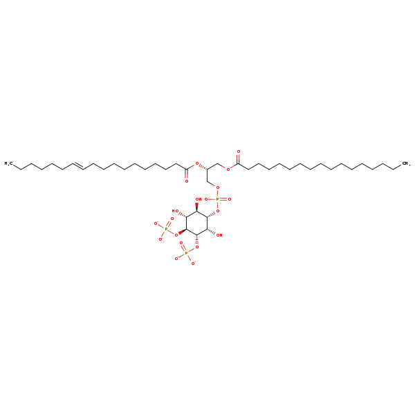 Image of MNXM360018