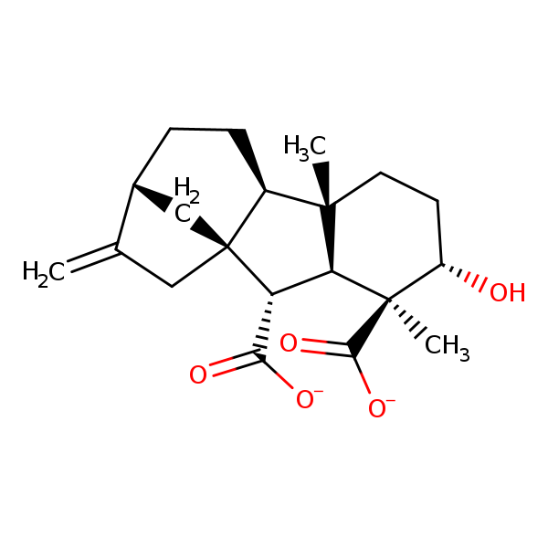 Image of MNXM3604