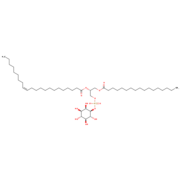 Image of MNXM360501