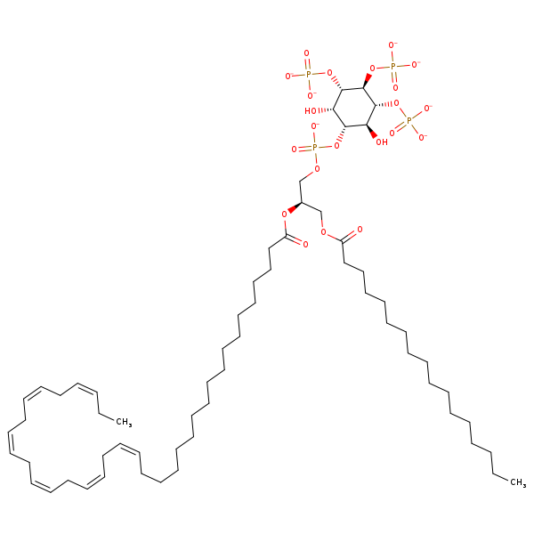 Image of MNXM360823
