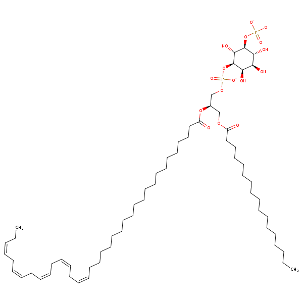 Image of MNXM360899