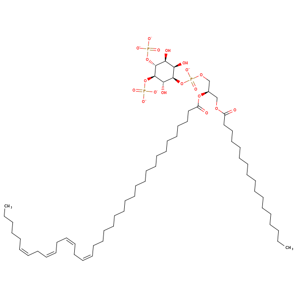 Image of MNXM360911