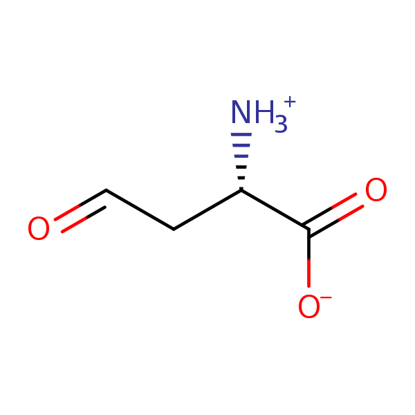 Image of MNXM361