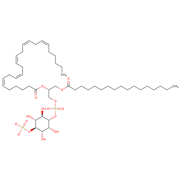 Image of MNXM361292
