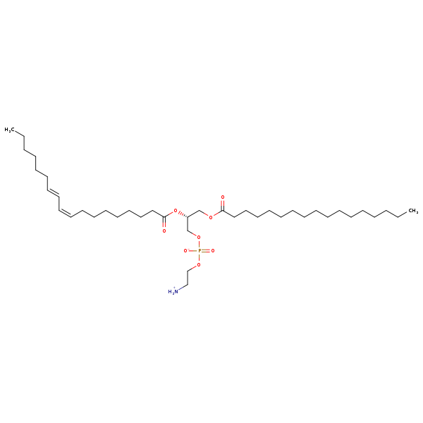 Image of MNXM361837