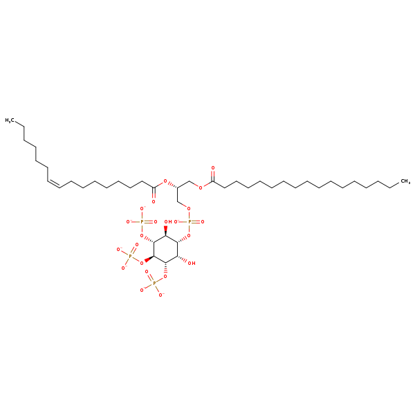 Image of MNXM362168