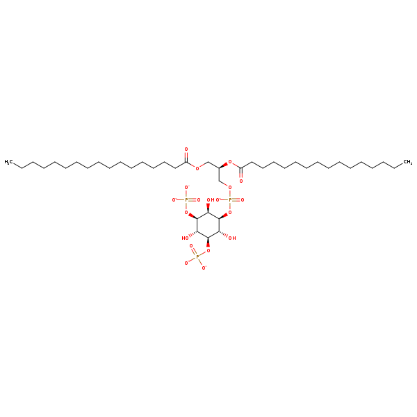 Image of MNXM362643