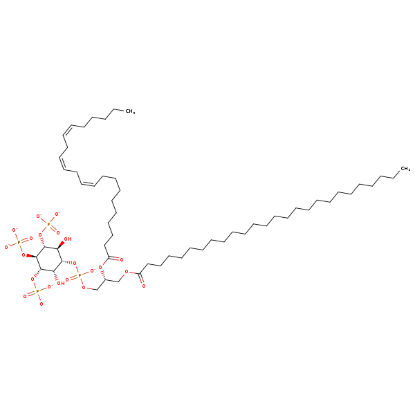 Image of MNXM363325