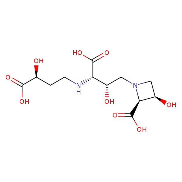 Image of MNXM36538