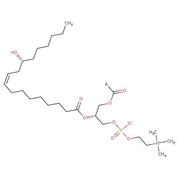 Image of MNXM3778