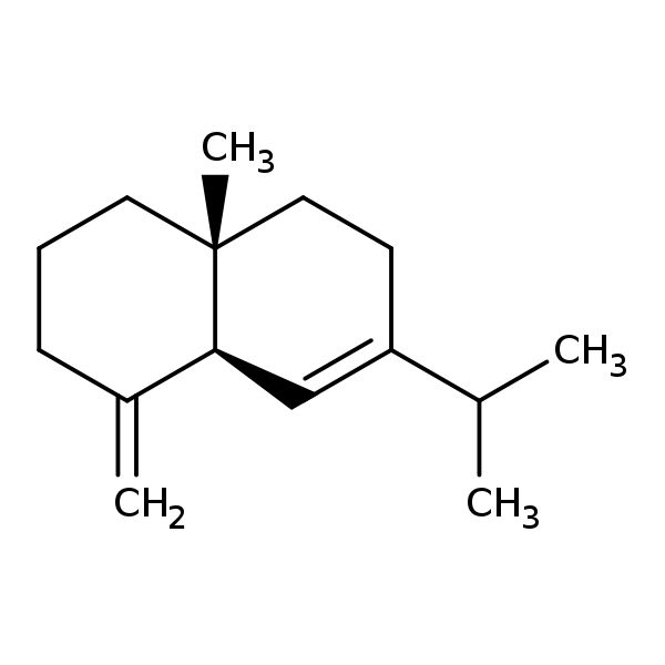 Image of MNXM38320