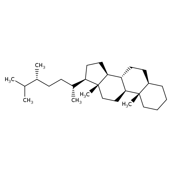 Image of MNXM38339