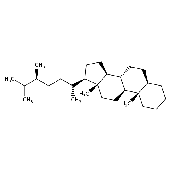 Image of MNXM38353