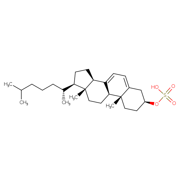 Image of MNXM39090