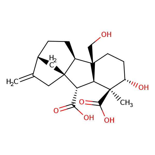 Image of MNXM3993