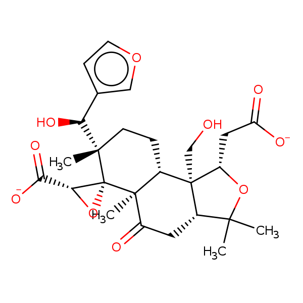 Image of MNXM4034
