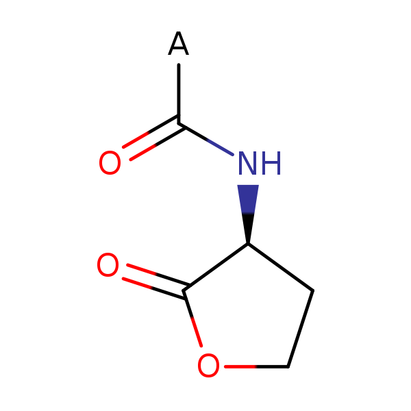 Image of MNXM4056