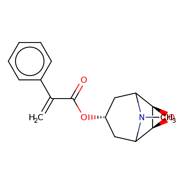 Image of MNXM42428