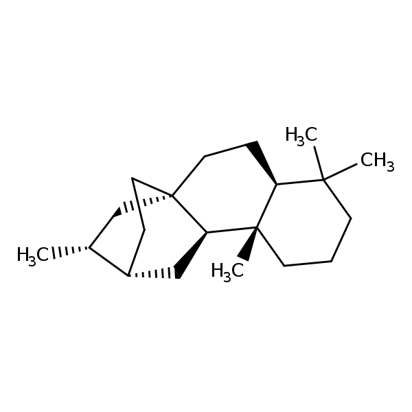 Image of MNXM42928