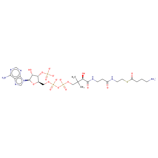 Image of MNXM4359