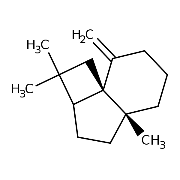 Image of MNXM44162