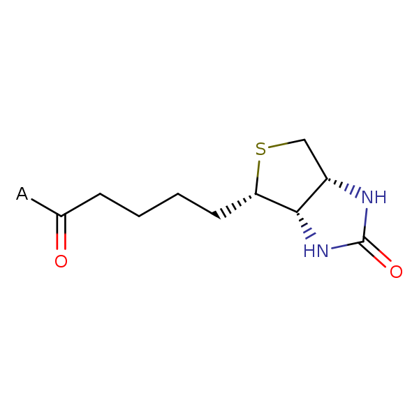 Image of MNXM44338