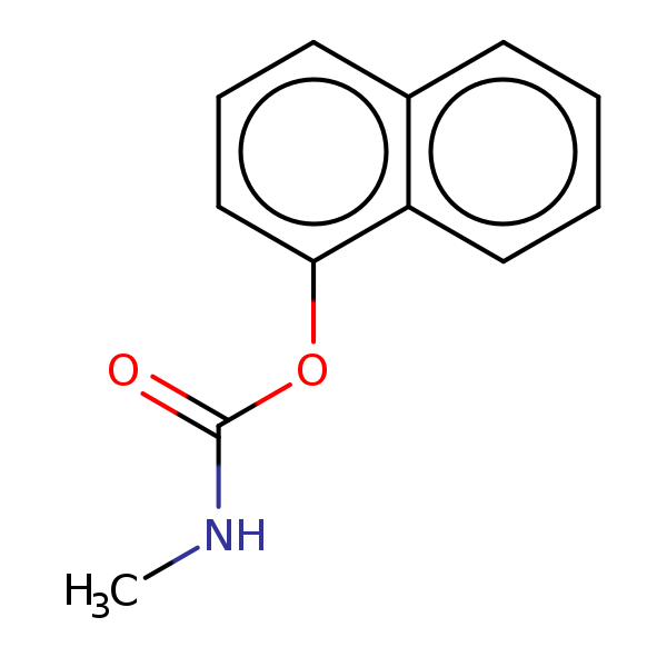 Image of MNXM45504