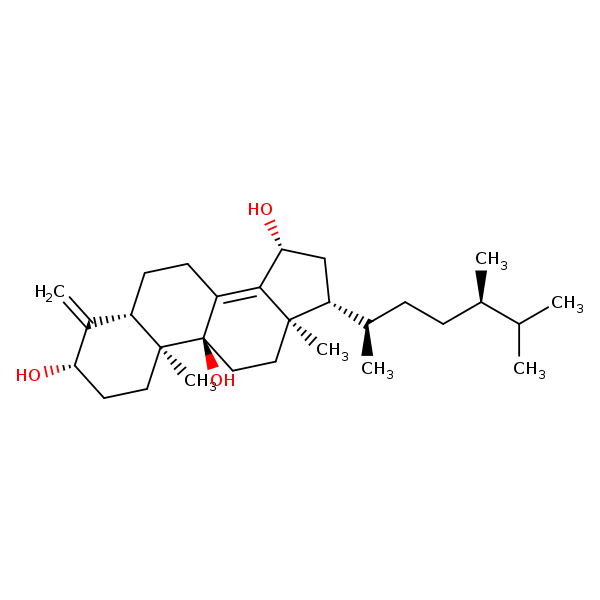 Image of MNXM47589