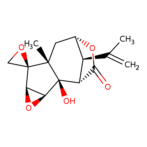 Image of MNXM47650
