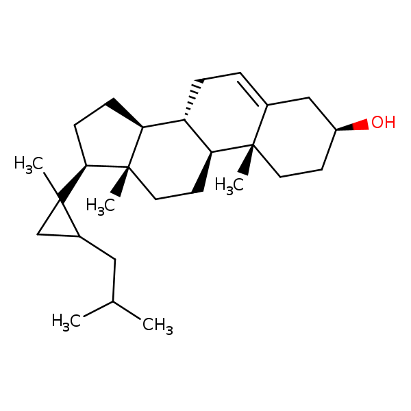 Image of MNXM48312
