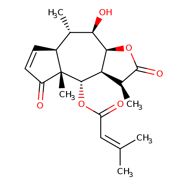 Image of MNXM53127