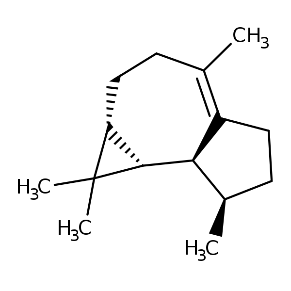 Image of MNXM5331