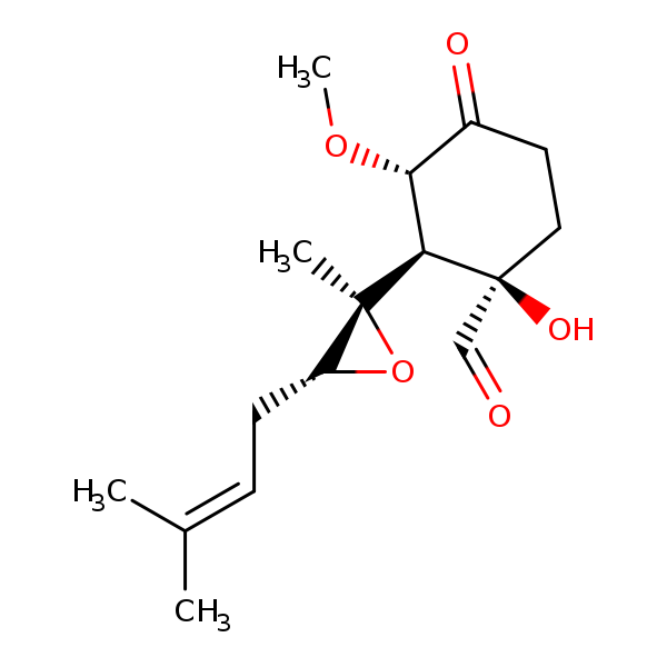 Image of MNXM53980