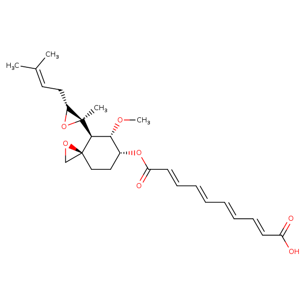 Image of MNXM53982