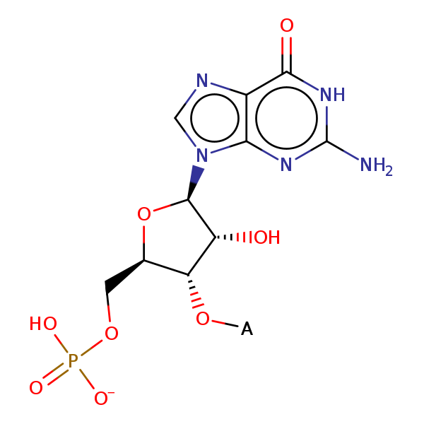 Image of MNXM55503