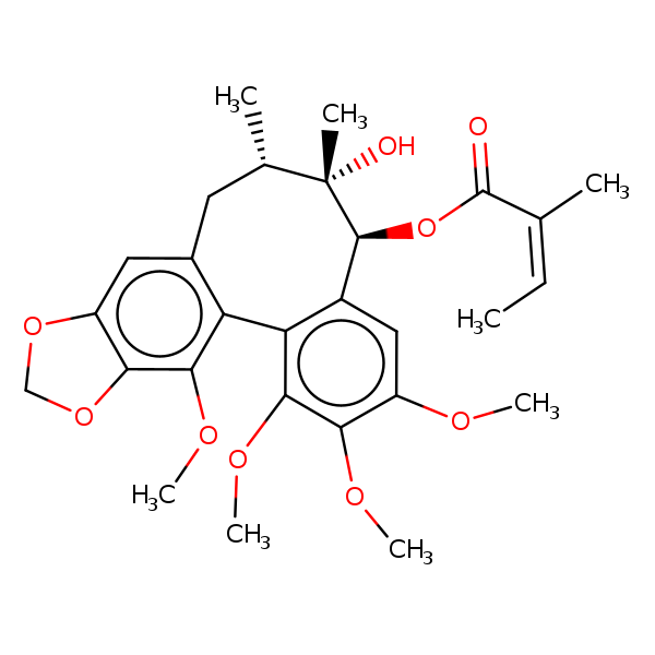 Image of MNXM55533