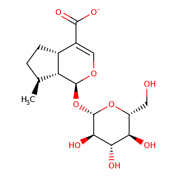 Image of MNXM5578