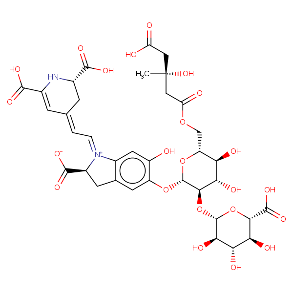 Image of MNXM57707