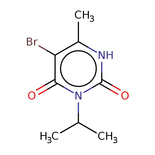 Image of MNXM57873