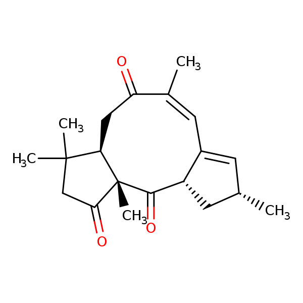 Image of MNXM58528