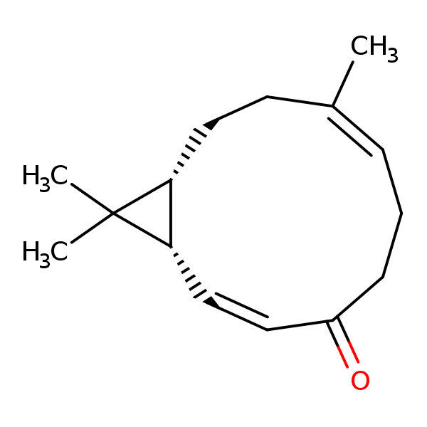 Image of MNXM59138