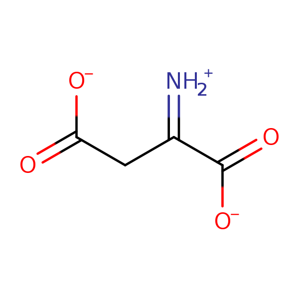 Image of MNXM599