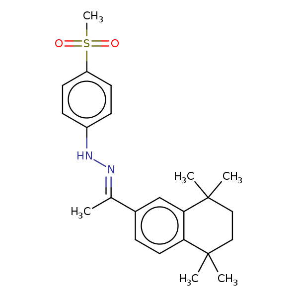Image of MNXM60146